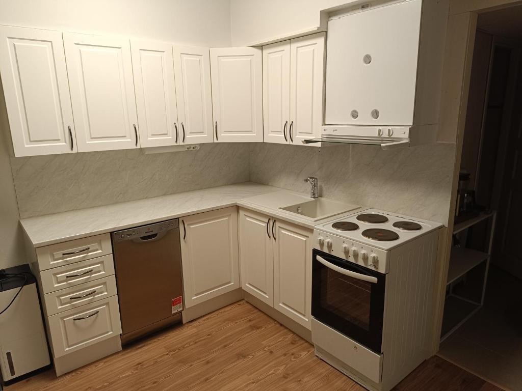 Valkoisessa keittiössä on valkoiset kaapit, marmorikuvioinen työtaso, astianpesukone, liesi ja uuni. Lattialla on puujäljitelmä.